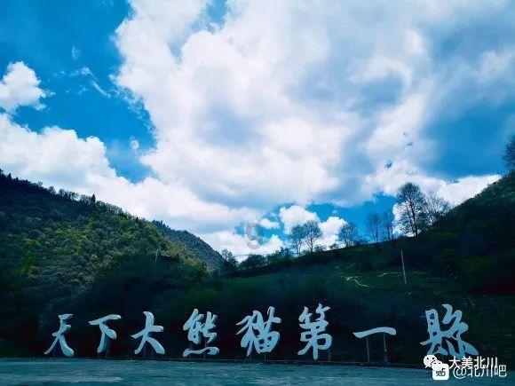 月光影视
