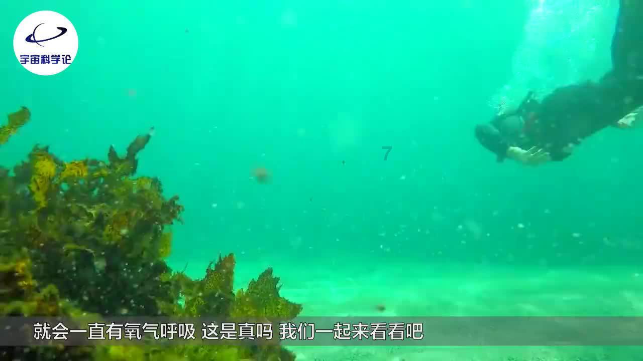 专注问答交流,尽在王者荣耀s31更新时间